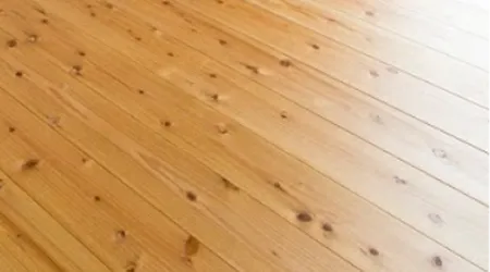 地域の素材にこだわる地産地消