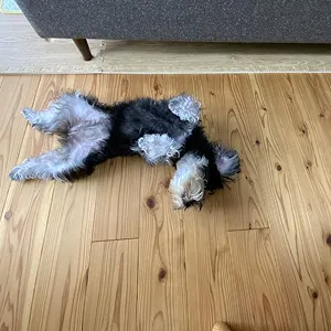 手が届く理想の暮らしを、子育てママに