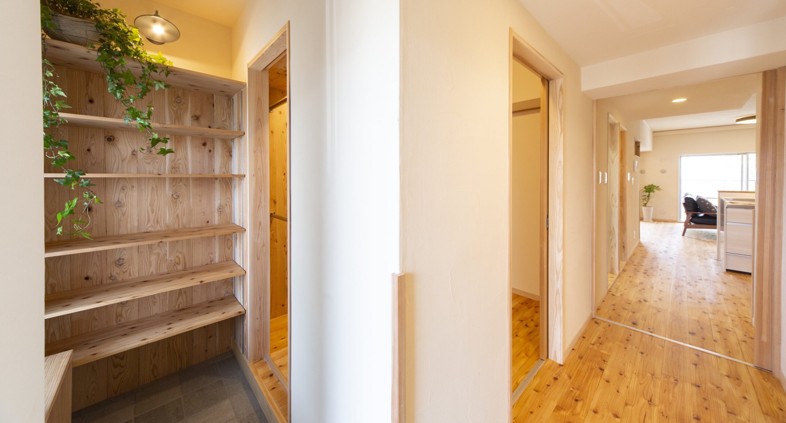 明るく窓のある玄関と大容量収納の家