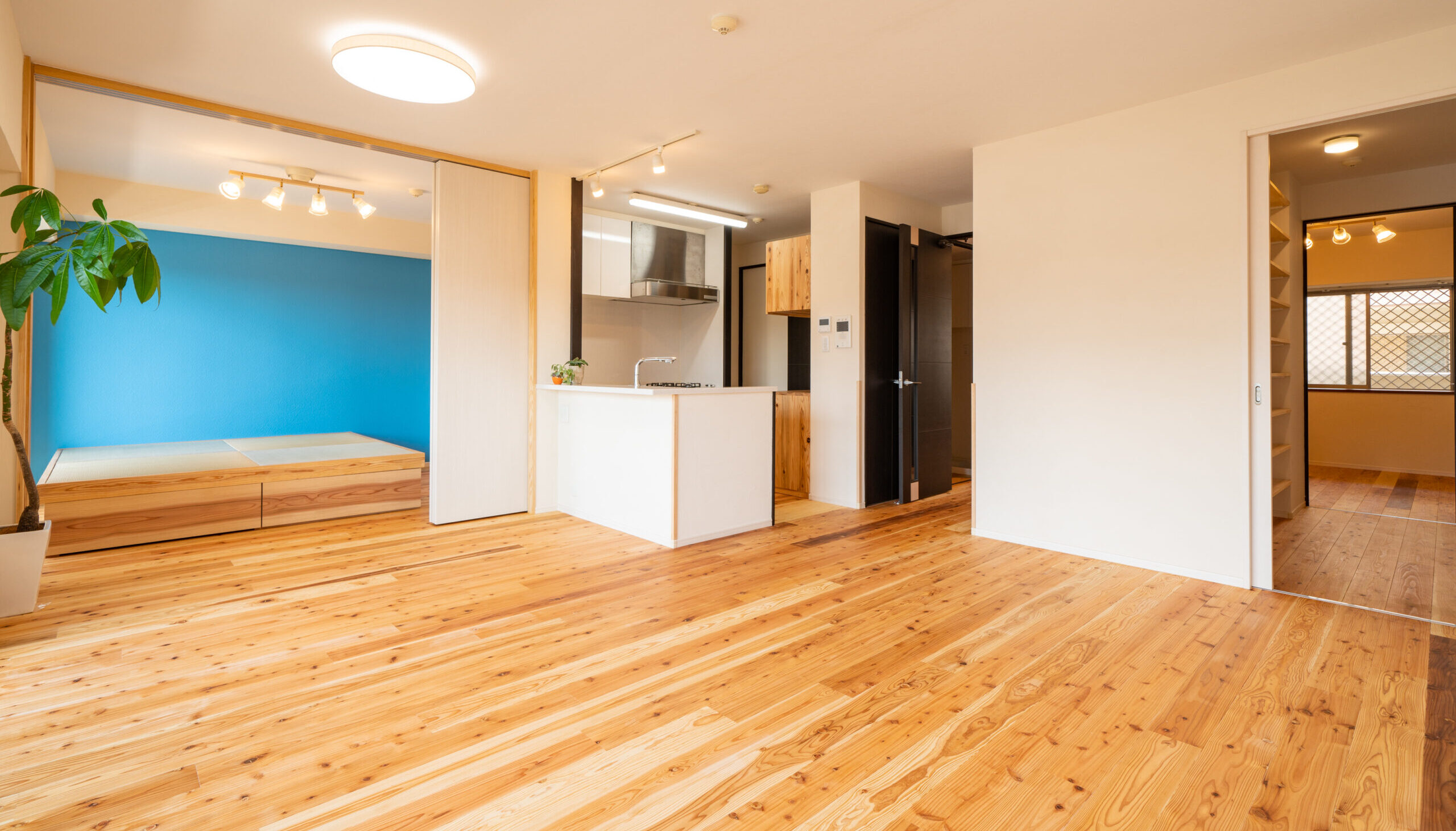 風そよぐ　光と青のオアシス空間