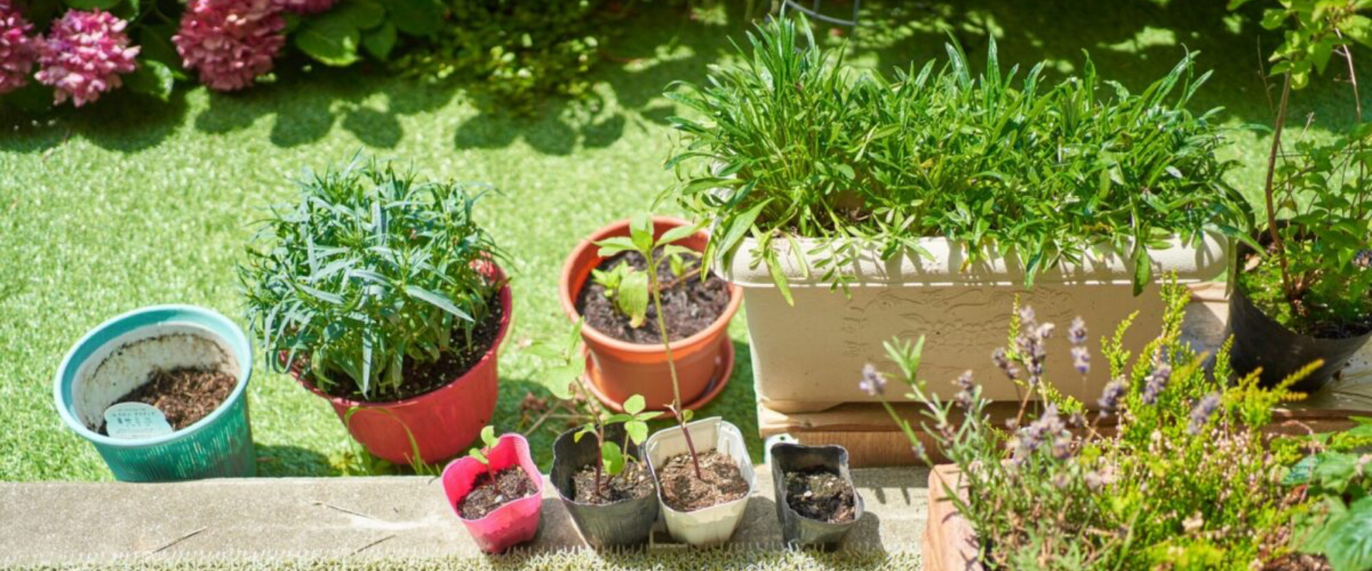 マンションでも木の家を買うことが叶いました。